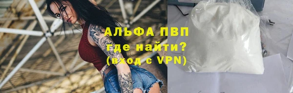 тгк Володарск